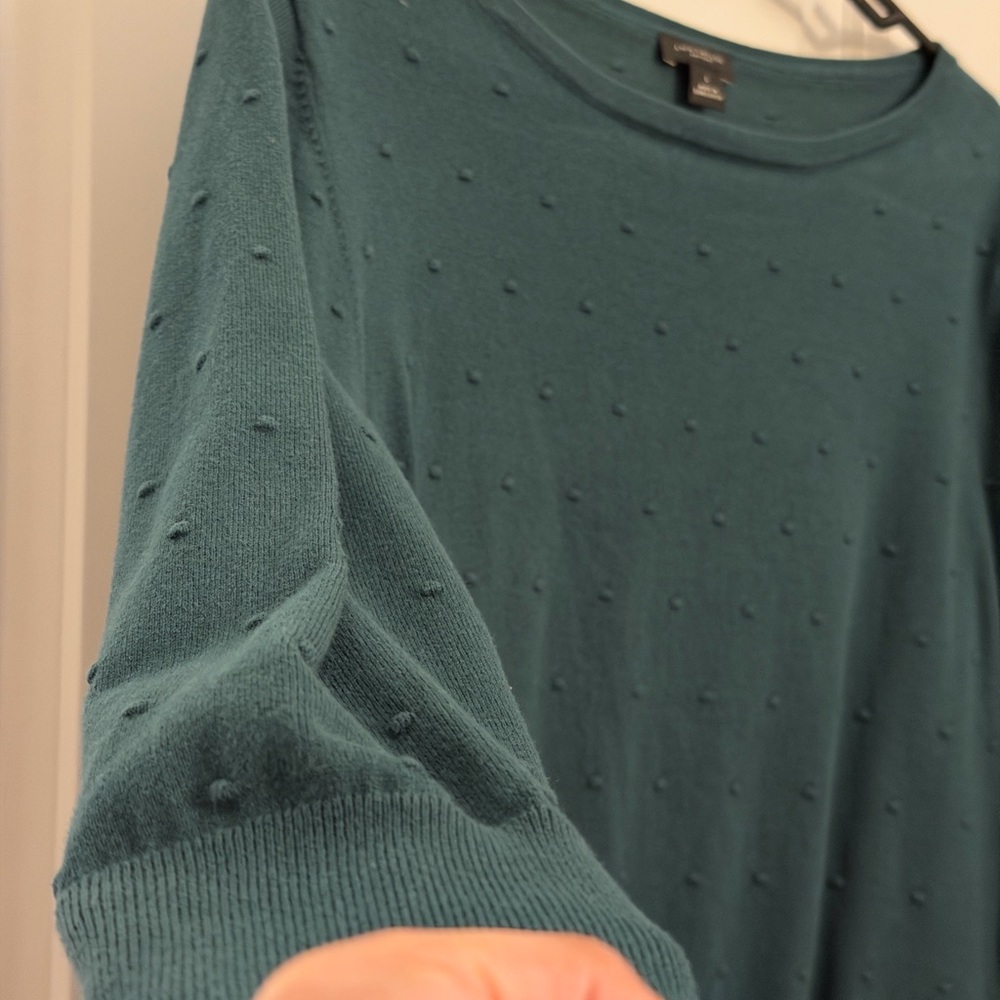 Ann Taylor Teal Knit Long Sleeve Top